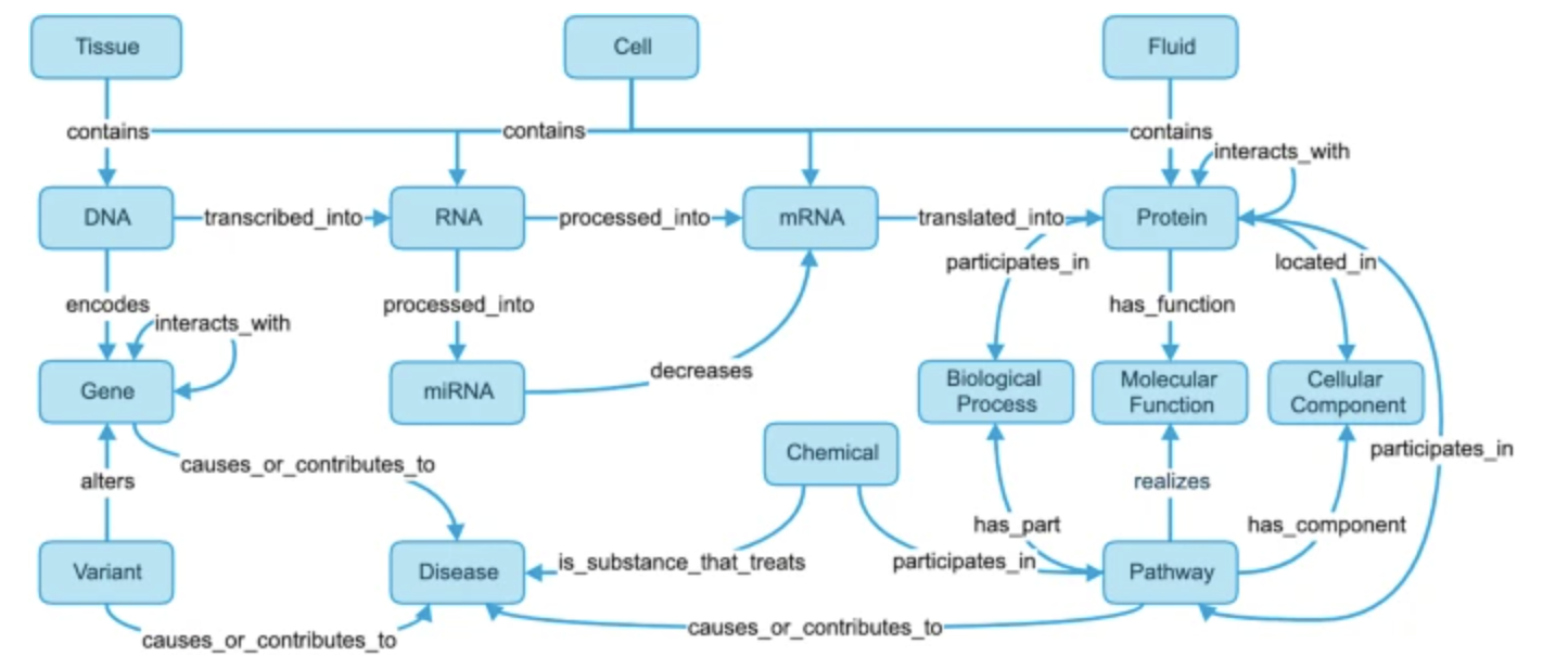 Flowchart depicting biological processes with labeled components such as Tissue, Cell, Fluid, DNA, RNA, Protein, Gene, miRNA, Variant, Disease, Biological Process, Molecular Function, Cellular Component, Chemical and Pathway. Ideal for applications in the life sciences.